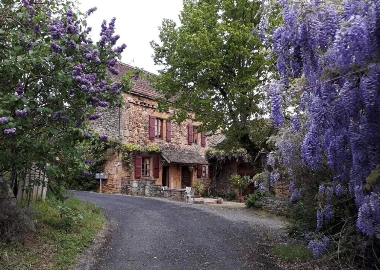 La Libellule And Le Papillon Gites At Les Leroux, Near Frayssinet-le-Gélat Exteriör bild