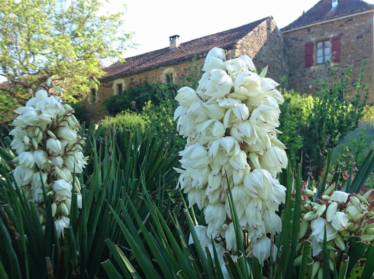 La Libellule And Le Papillon Gites At Les Leroux, Near Frayssinet-le-Gélat Exteriör bild