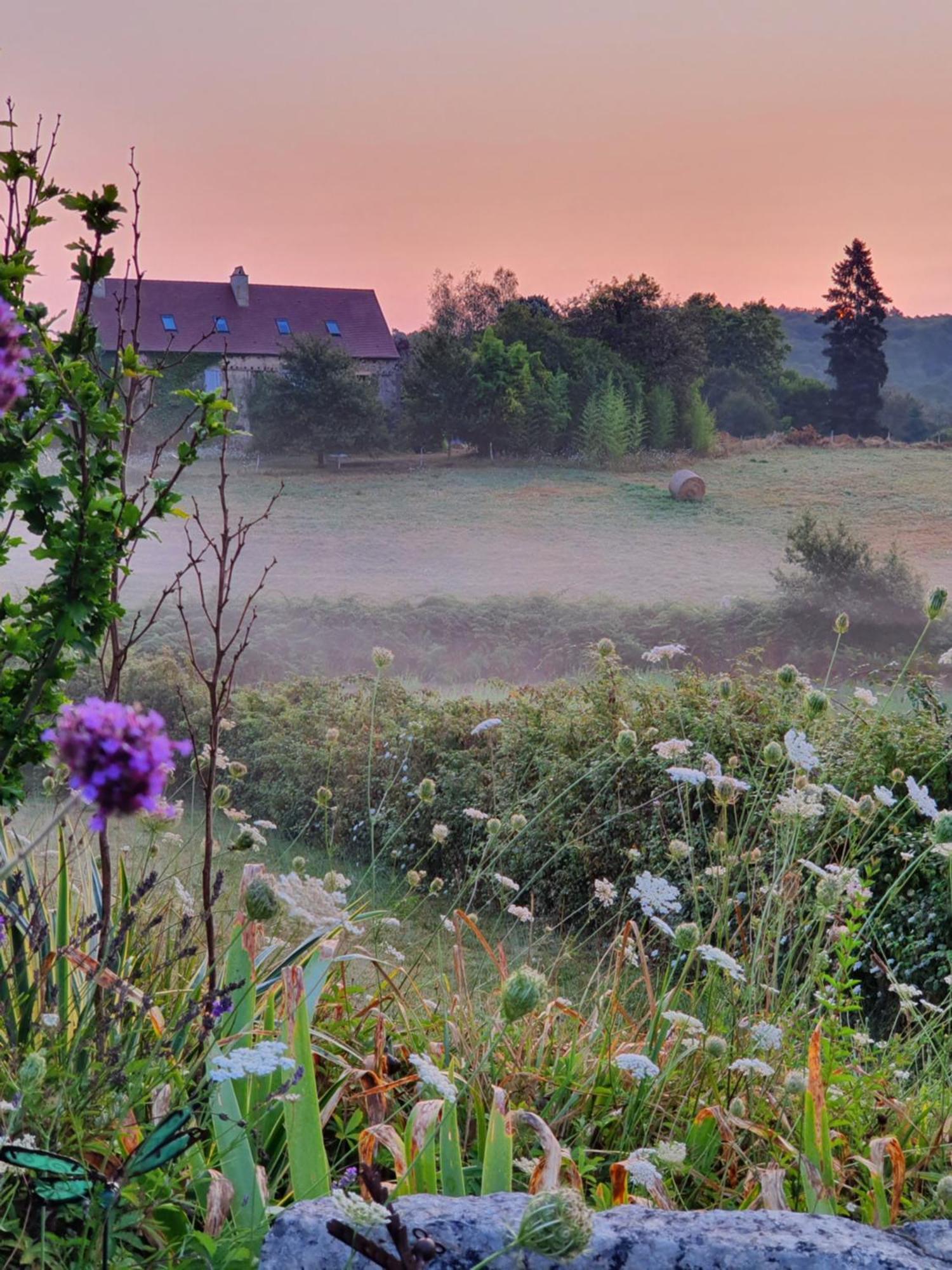 La Libellule And Le Papillon Gites At Les Leroux, Near Frayssinet-le-Gélat Exteriör bild